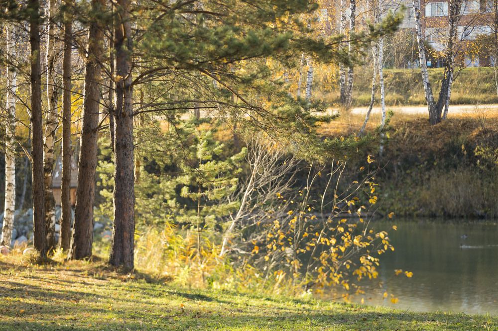 Photograph by ИРЕНА Цурпал