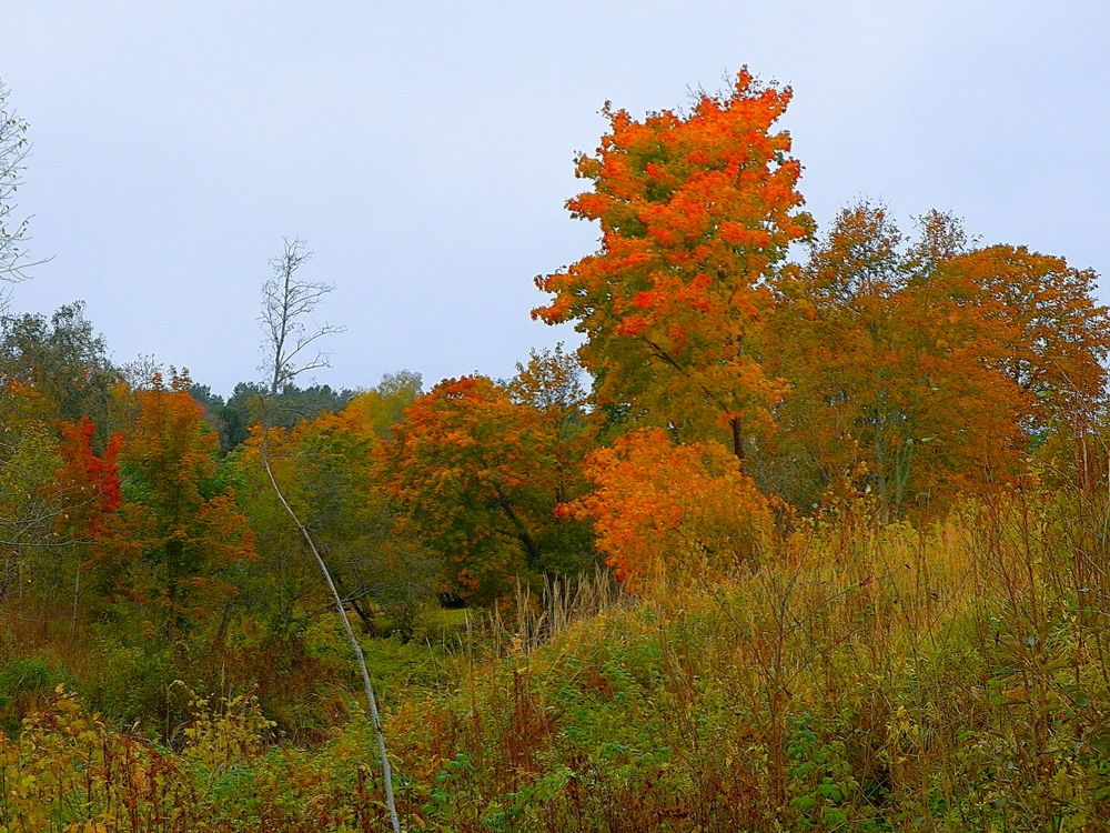 Фотография автора Jevgeni Filimonov