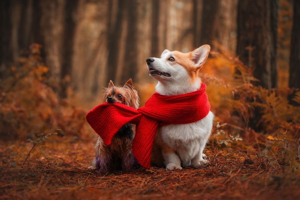 Photograph by Андрианова Ирина