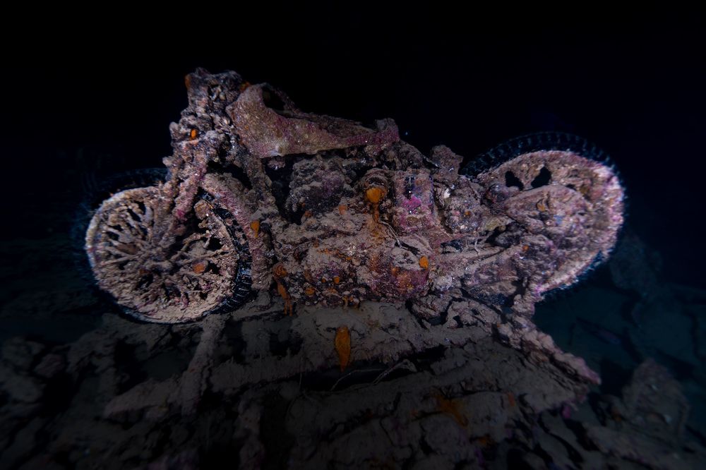 Photograph by Santiago Estrada R