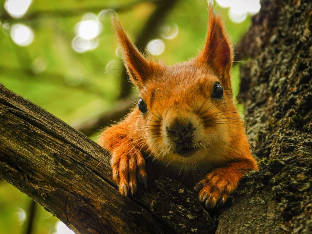 Photograph by Юлия Закопайло