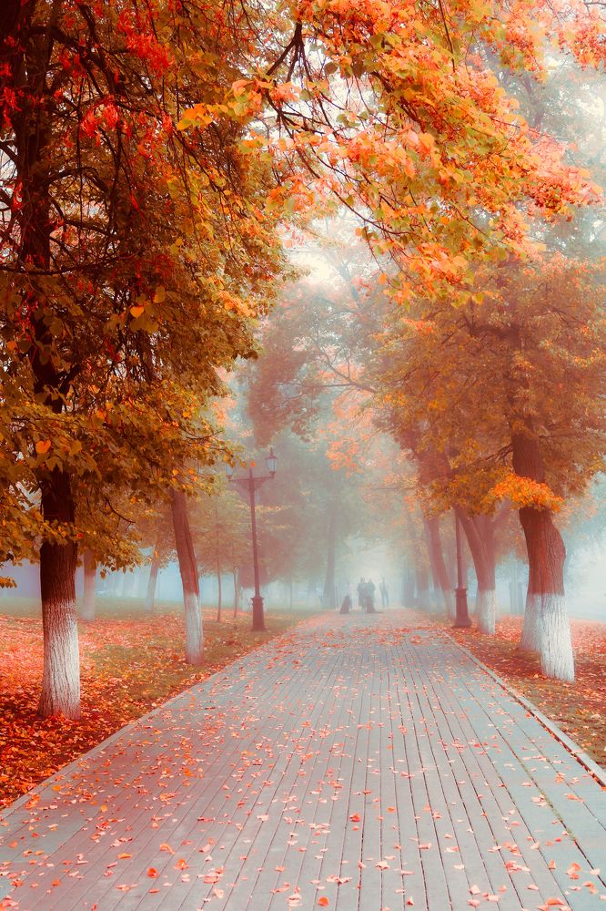 Photograph by Олеся Постнова