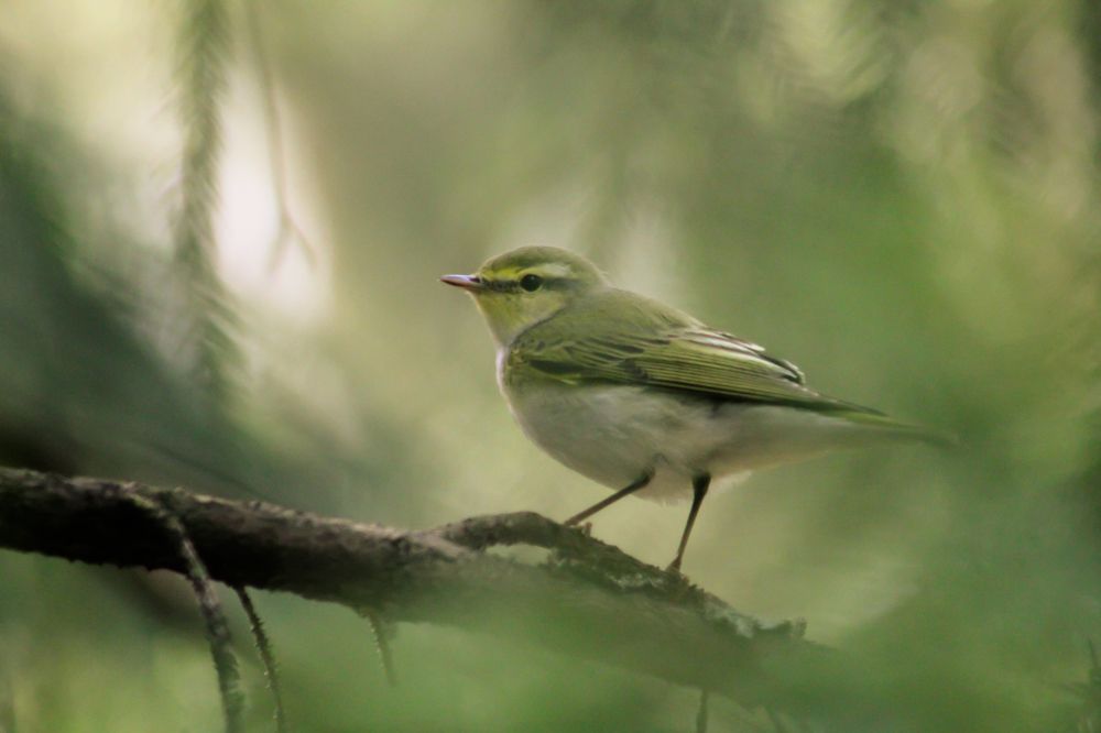 Photograph by Aleksandra