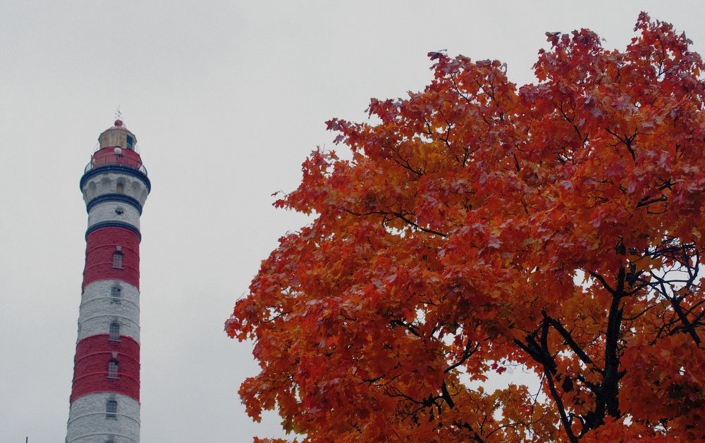 Photograph by Vasilii Martynov