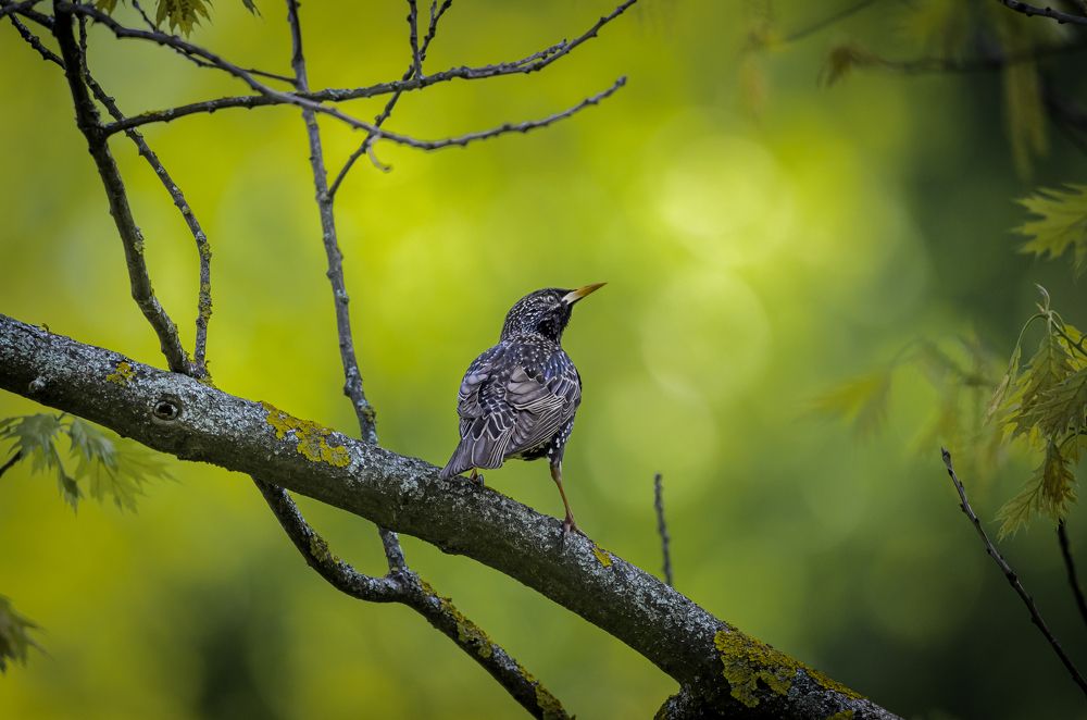 Фотография автора Юрий