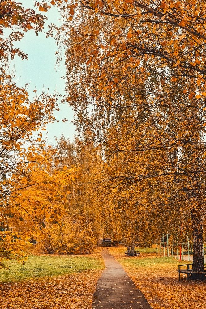 Photograph by Елена Квасова