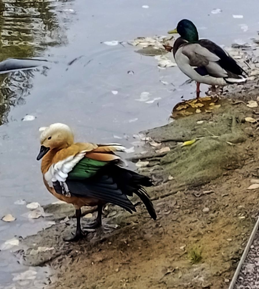 Photograph by Sergey Kurkov-Tarkovsky