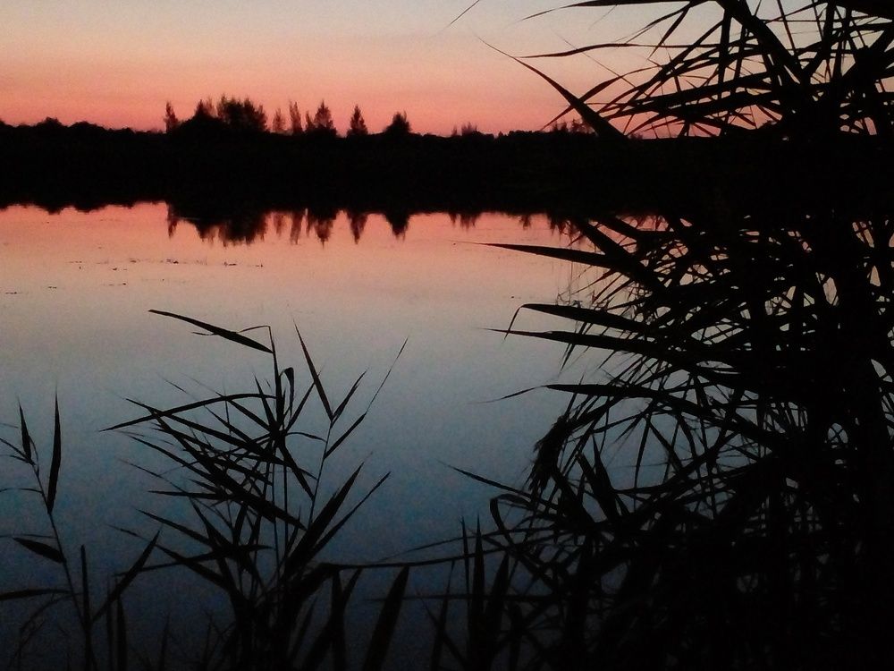 Photograph by Мира Федорова