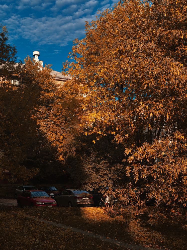 Photograph by Алина