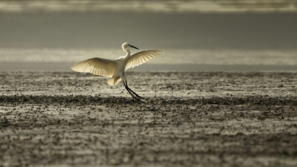 Photograph by thiru vellan