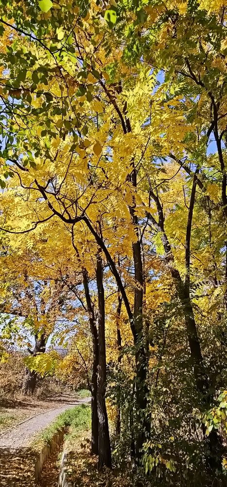 Photograph by Наталья Баранова