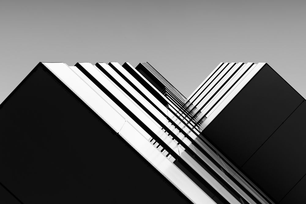 Photograph by Alaa Nour