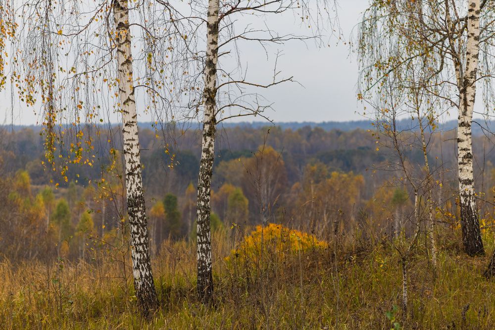 Фотография автора Aamoda Kitchen