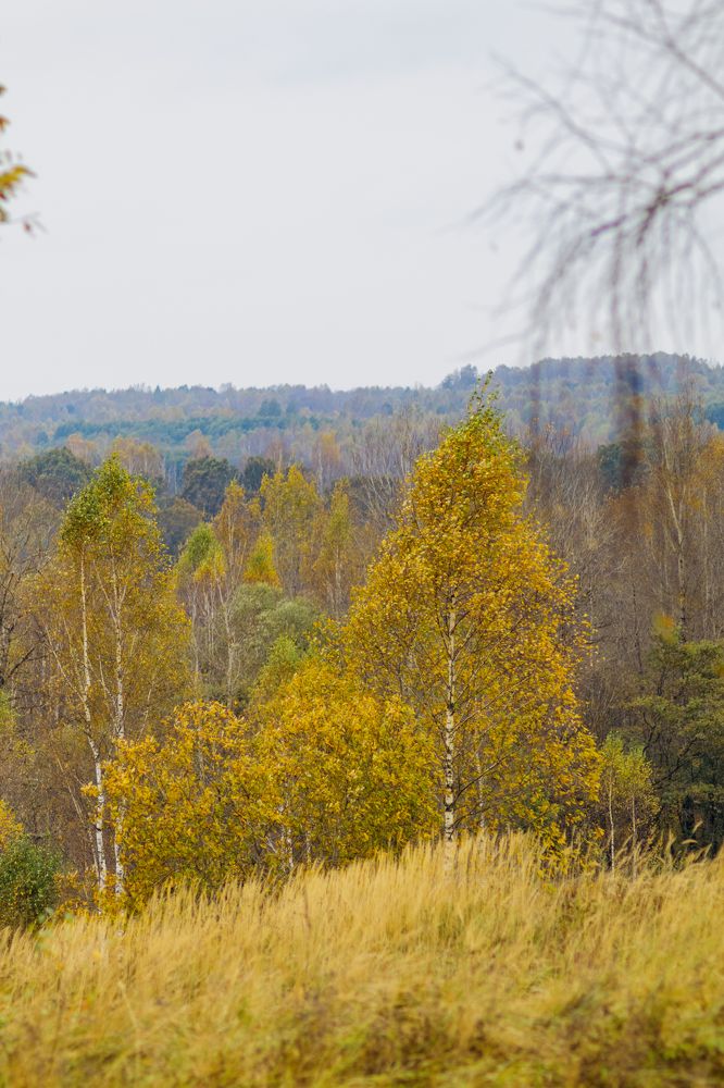 Фотография автора Aamoda Kitchen