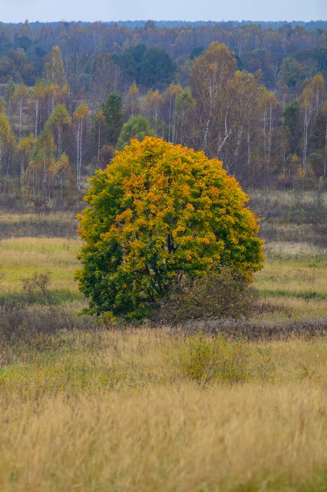 Фотография автора Aamoda Kitchen