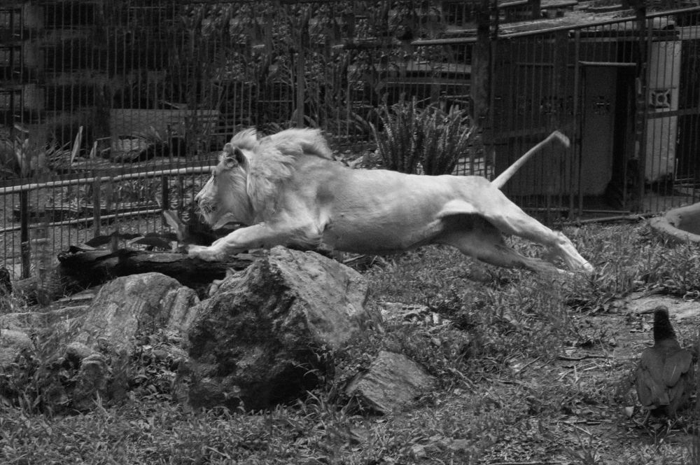 Photograph by Rodolfo Durán