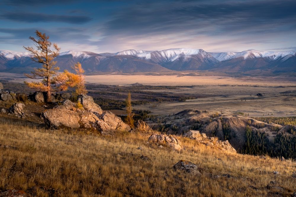 Ветренный вечер