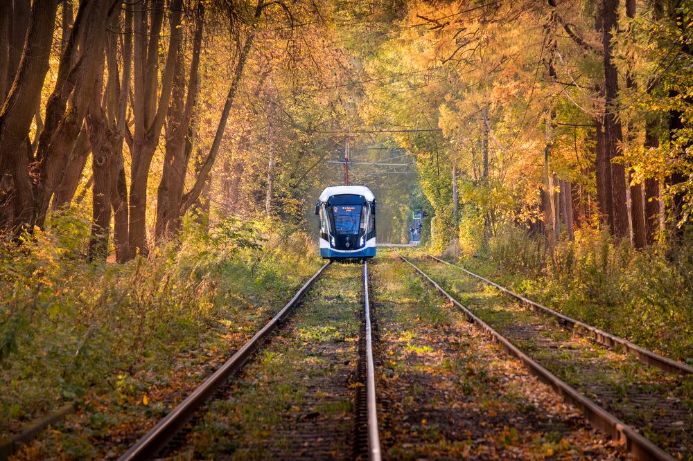 Следующая остановка - осень