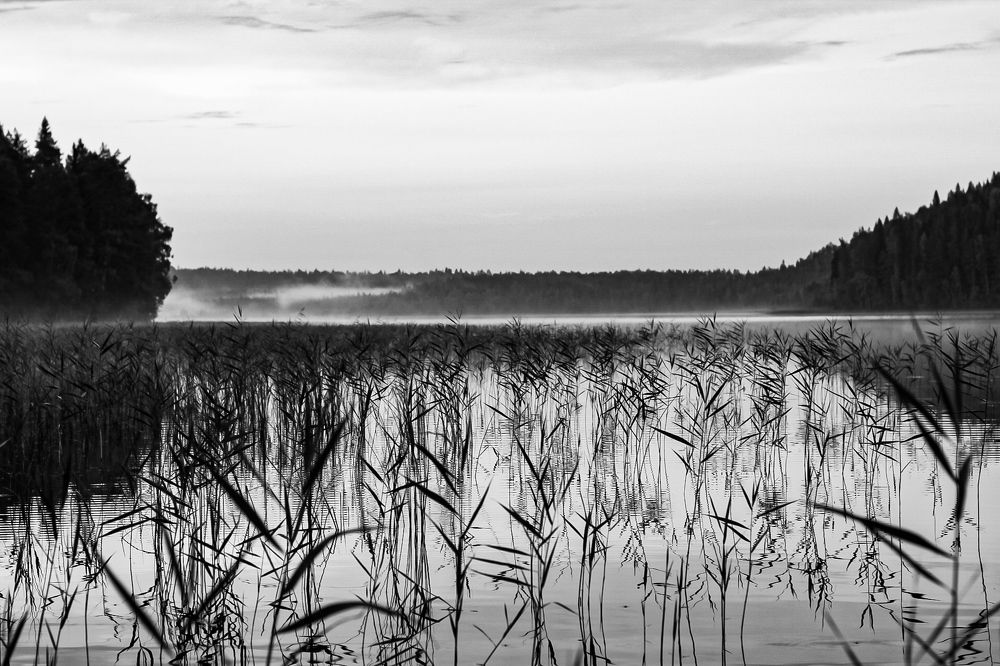 Photograph by Марина Халатова