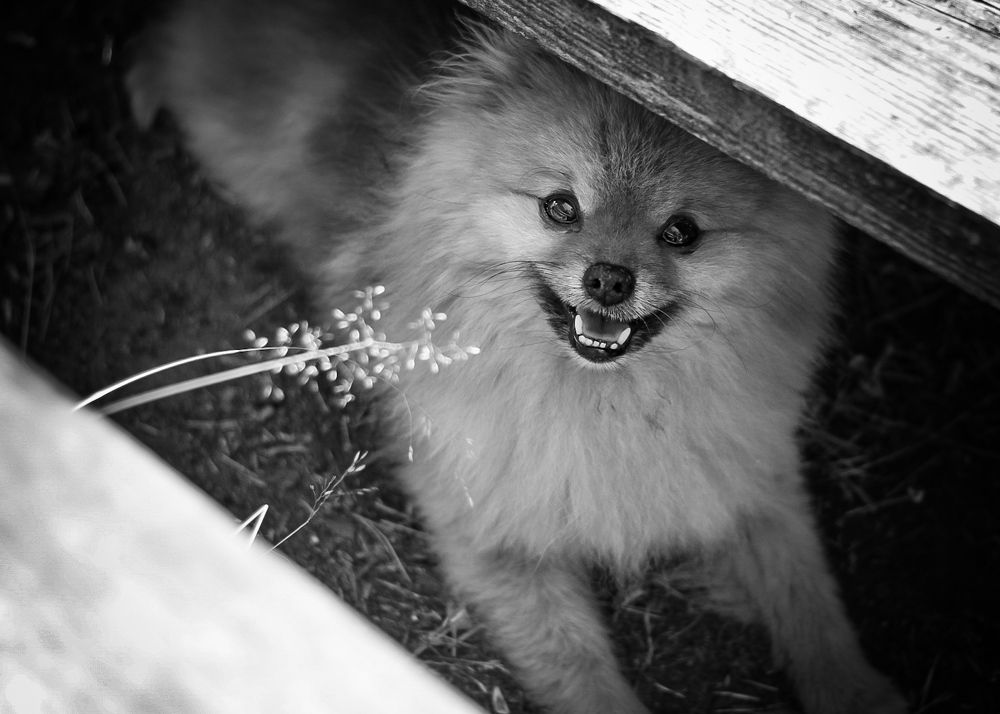 Photograph by Марина Халатова