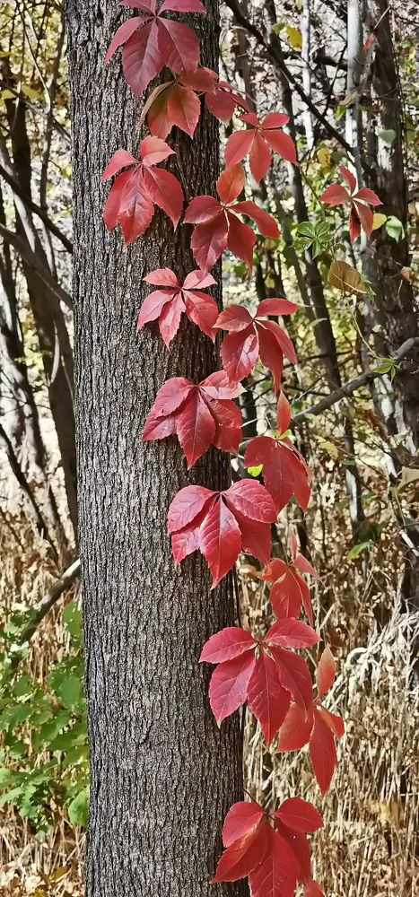 Photograph by Наталья Баранова