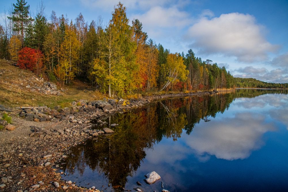 Photograph by Юрий Платухин