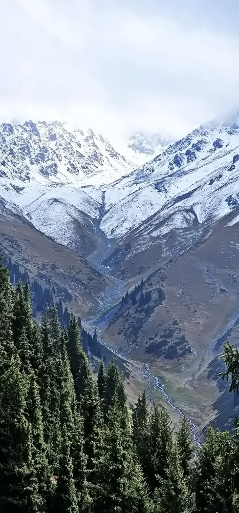 Photograph by Наталья Баранова