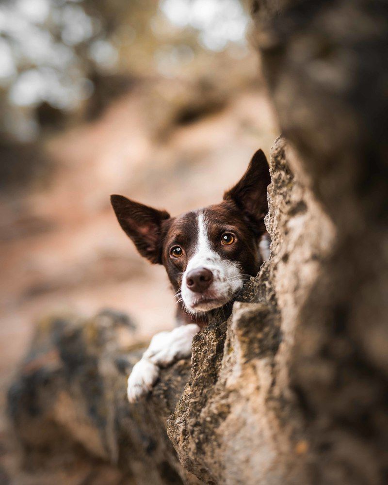 Photograph by Csenge