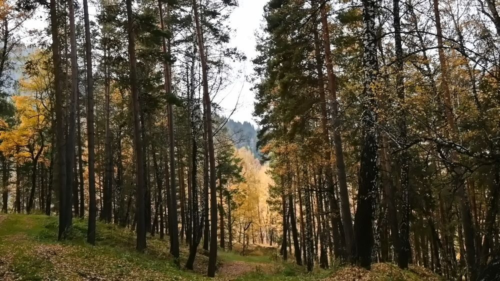 Photograph by Наталья Баранова