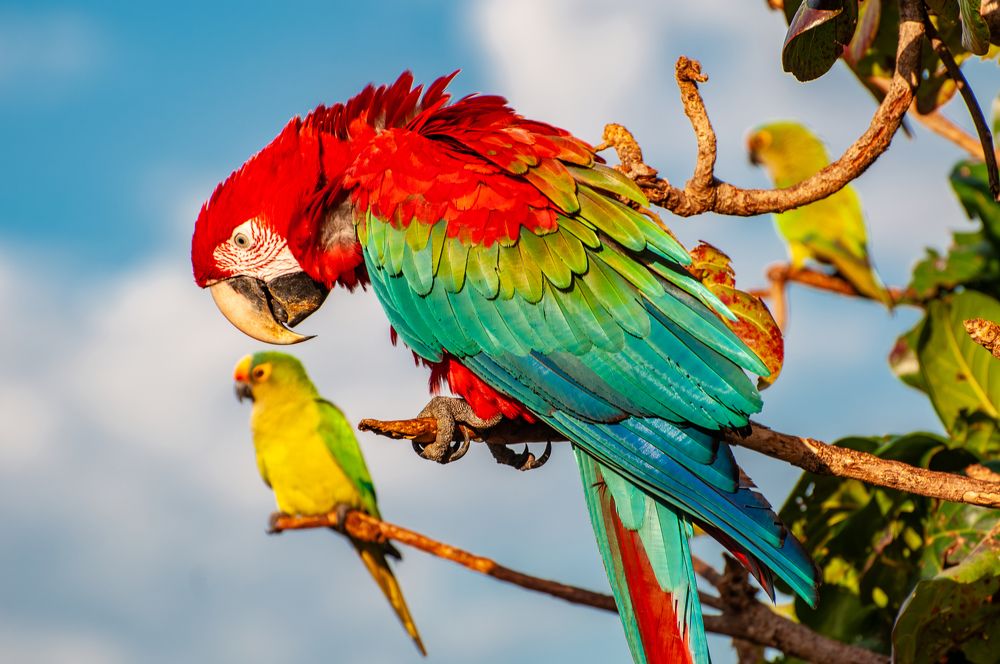 Photograph by Carlos Eduardo Barreto Pinheiro