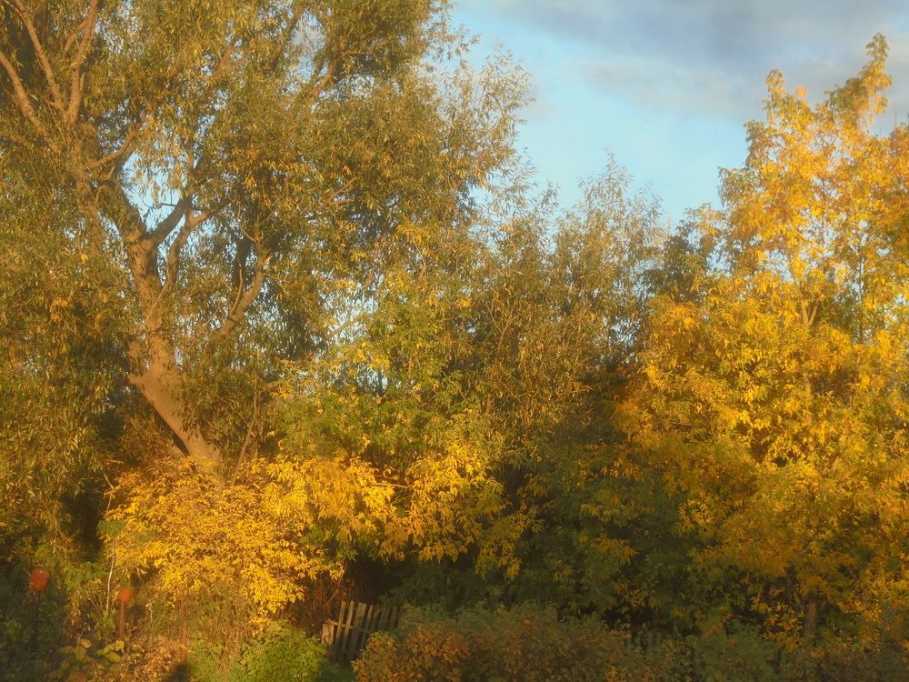 Photograph by Лилия Исхакова