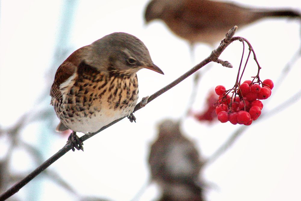 Photograph by Vitaliy Saposhnikov