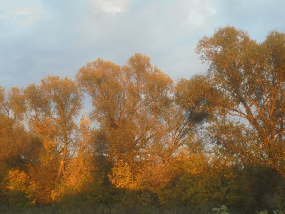 Photograph by Лилия Исхакова