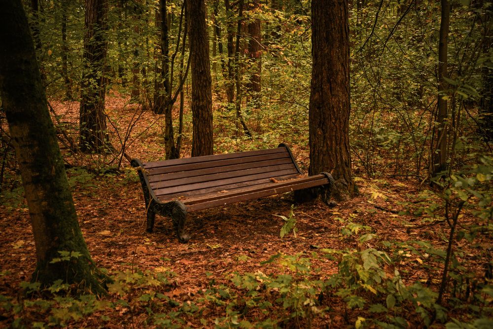 Photograph by Igor Medvedev