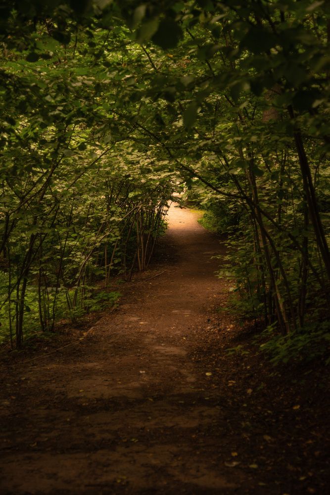 Photograph by Igor Medvedev