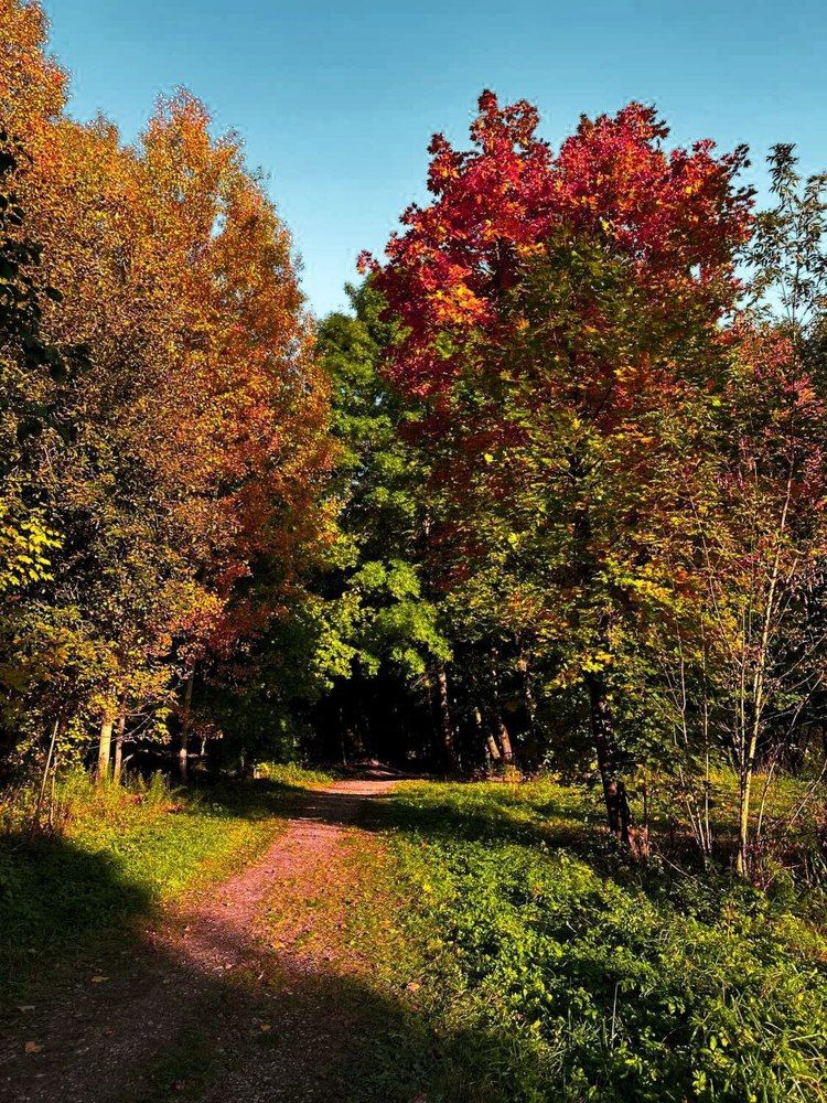 Photograph by Екатерина Козлова