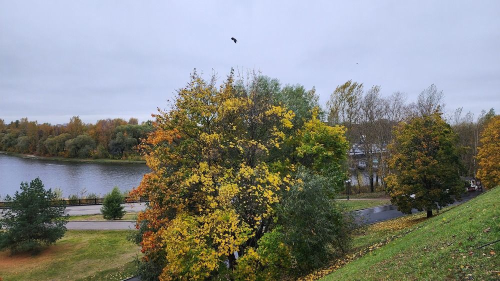 Фотография автора Александр Ахоньков
