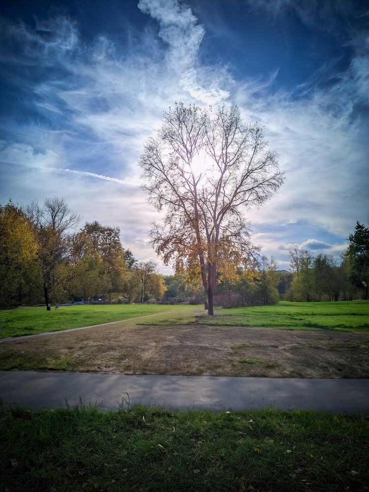 Photograph by Олега Тор