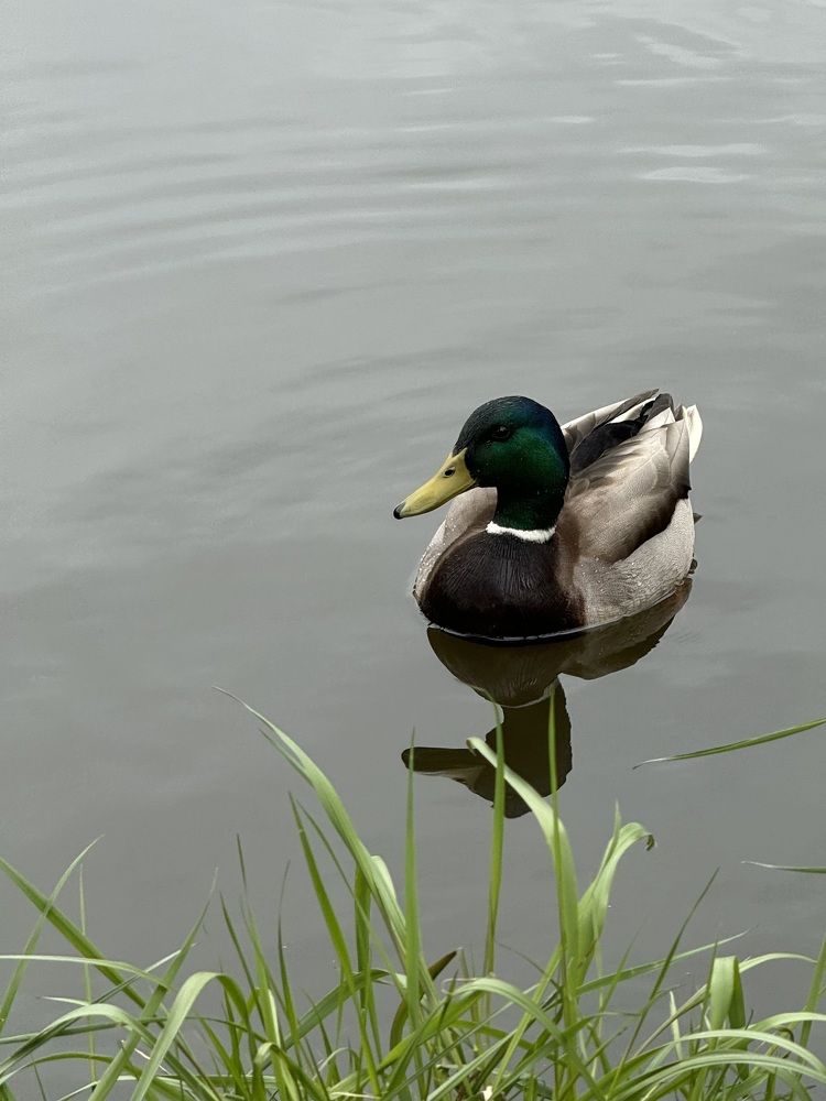 Photograph by Zhanna Kolesnikova