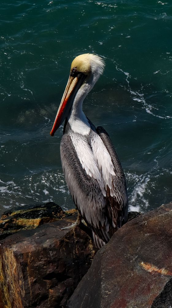 Photograph by Jorge Giol - El Caminante
