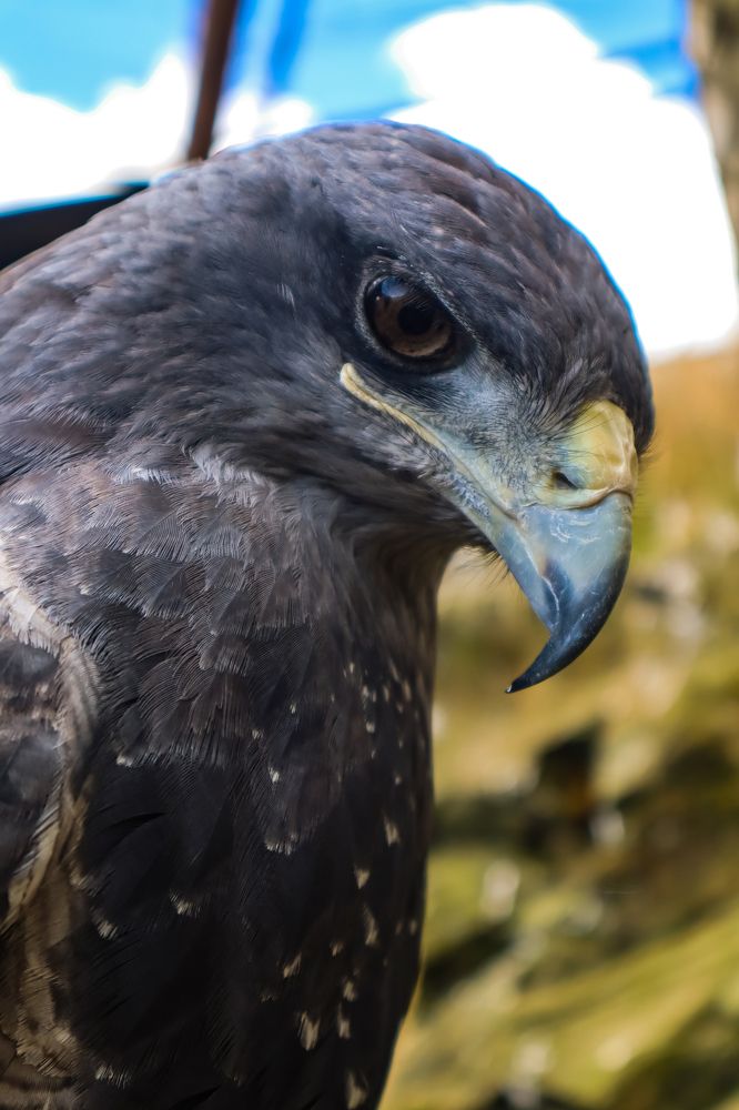 Photograph by Jorge Giol - El Caminante