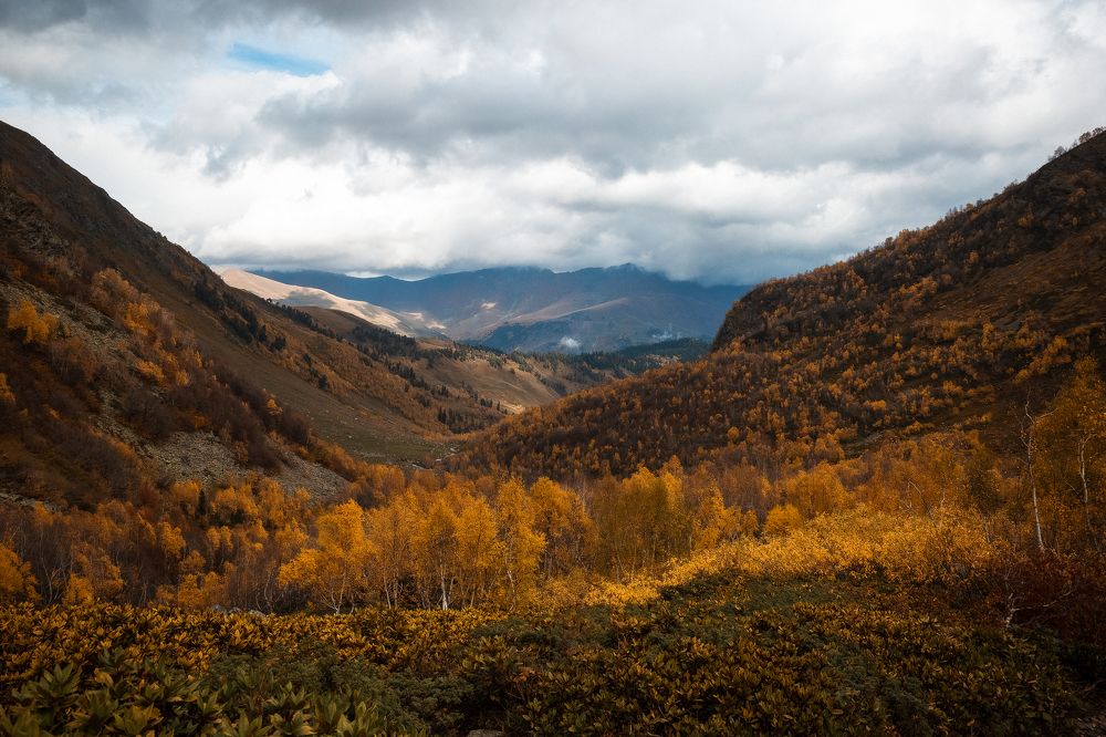 Photograph by Дмитрий Арабаджи