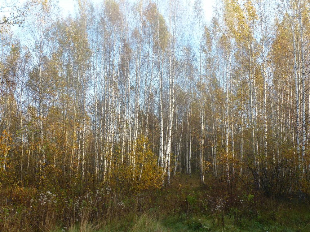 Photograph by Георгий Салюков