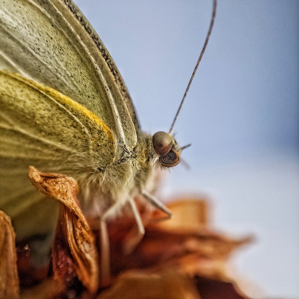 Photograph by Лариса Мик