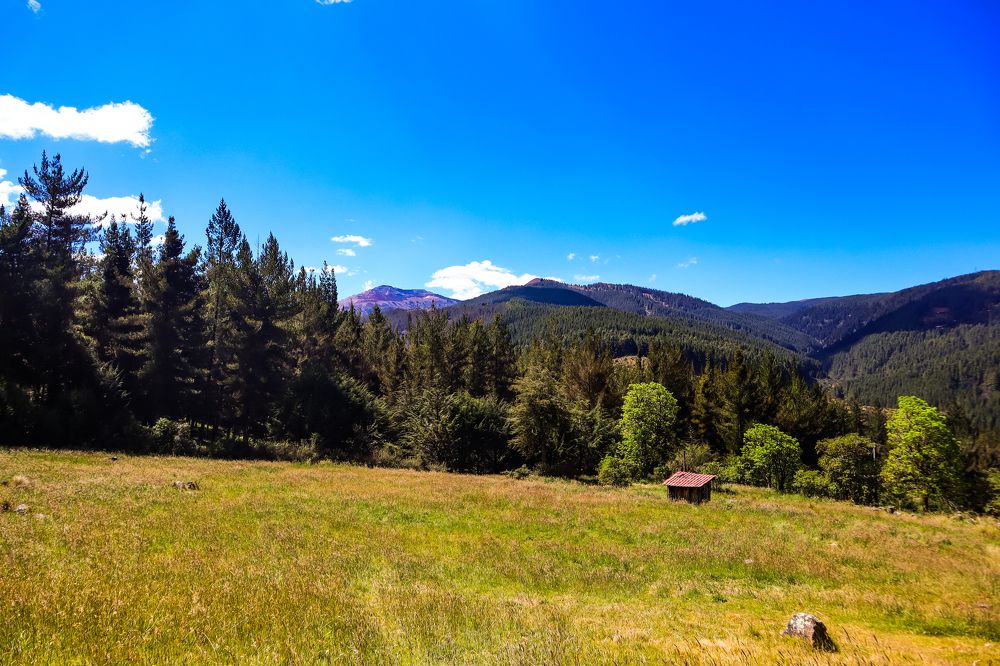 Photograph by Jorge Giol - El Caminante