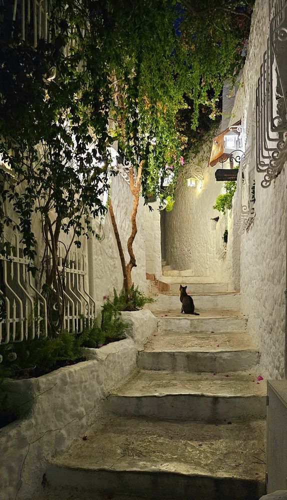 Фотография автора Наталья Законова