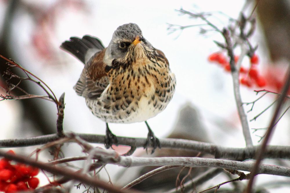 Photograph by Vitaliy Saposhnikov