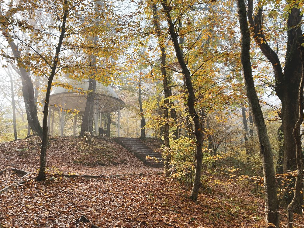 Утро в Горячем Ключе