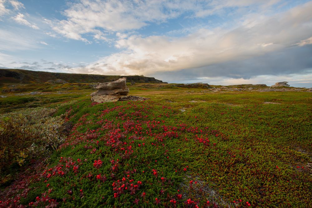 Photograph by Александр Ильин