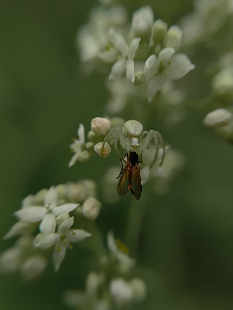 Photograph by Ксения